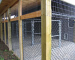 South Bark Boarding Kennel Pictures