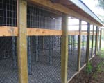South Bark Boarding Kennel Pictures