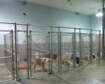 South Bark Boarding Kennel Pictures